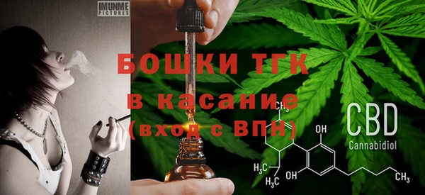 индика Снежинск