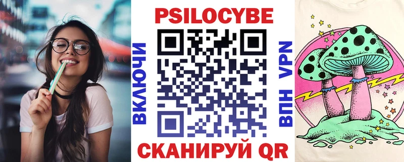 omg маркетплейс  Борзя  Псилоцибиновые грибы Psilocybine cubensis 