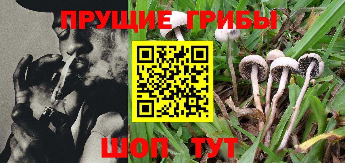 Псилоцибиновые грибы MAGIC MUSHROOMS Борзя