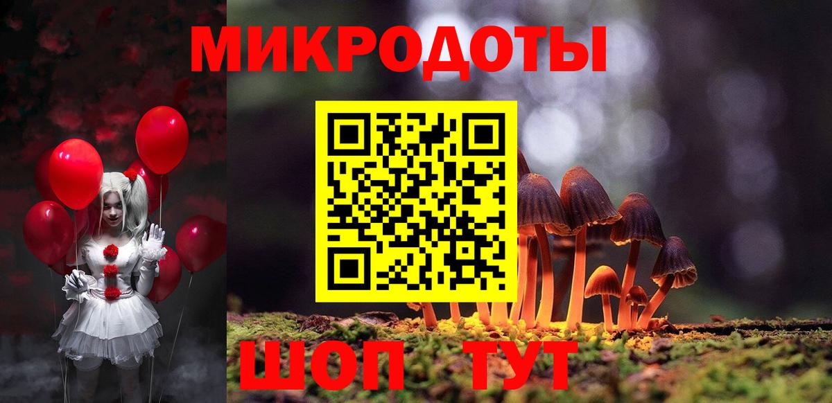 Борзя  Псилоцибиновые грибы Magic Shrooms  закладки  Вход с VPN 